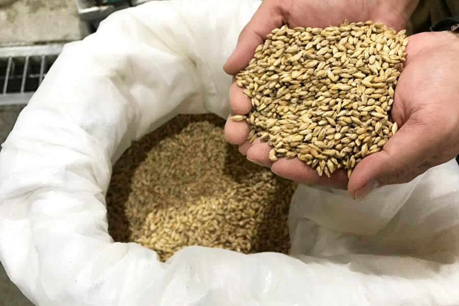 羽後麦酒で使われる麦芽