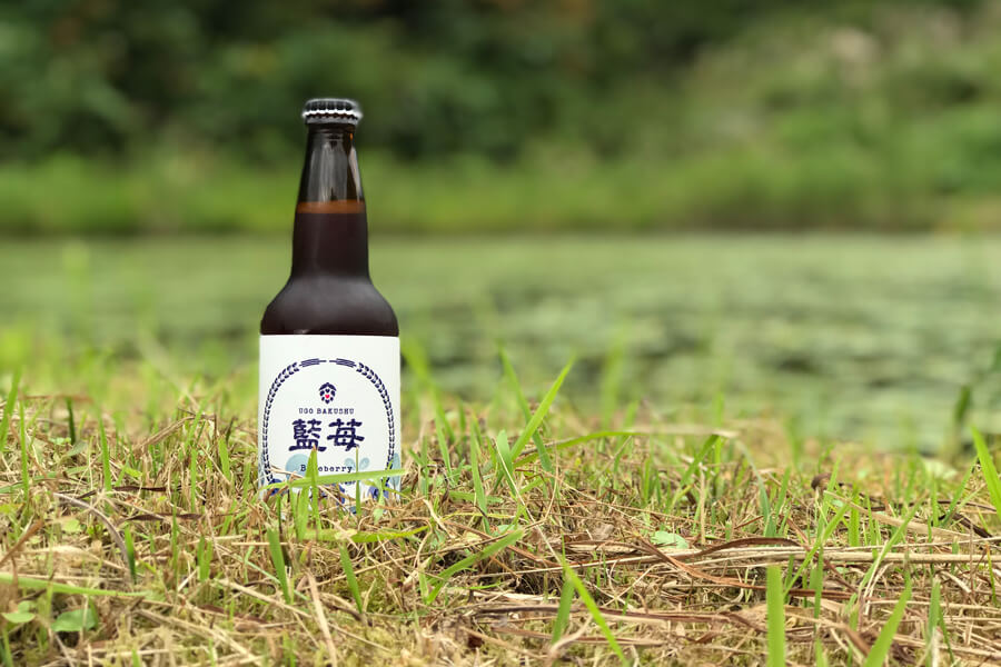 「藍苺」ブルーベリー