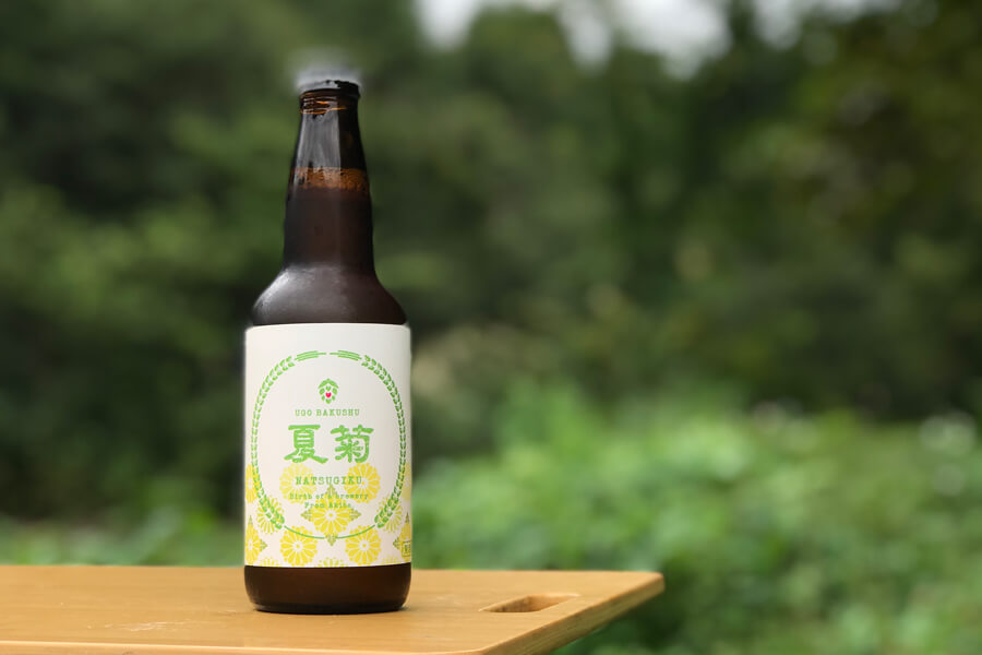 季節商品「夏菊」