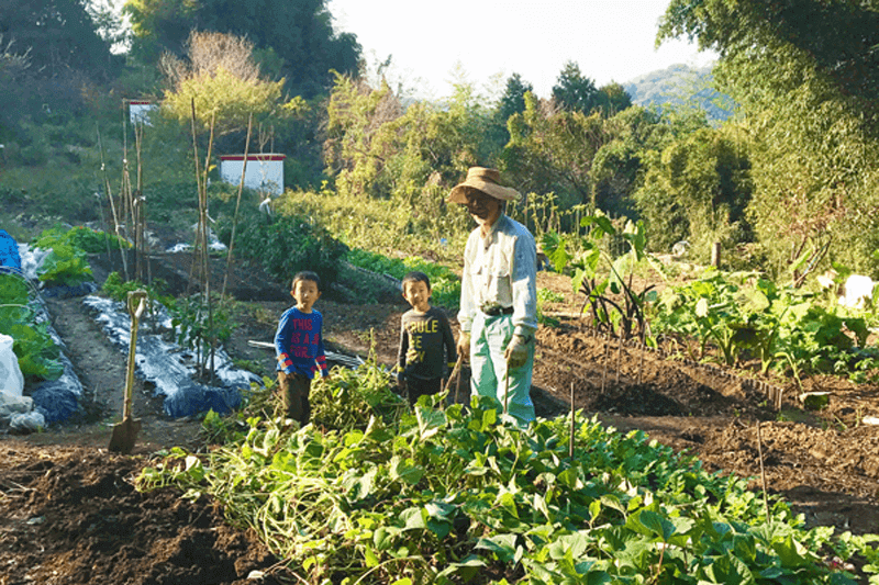 古庭屋商店について