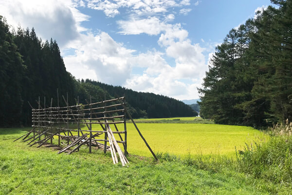 羽後町田代の稲架が残る田園風景2