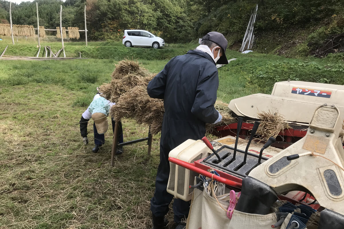 ハーベスターでの脱穀風景