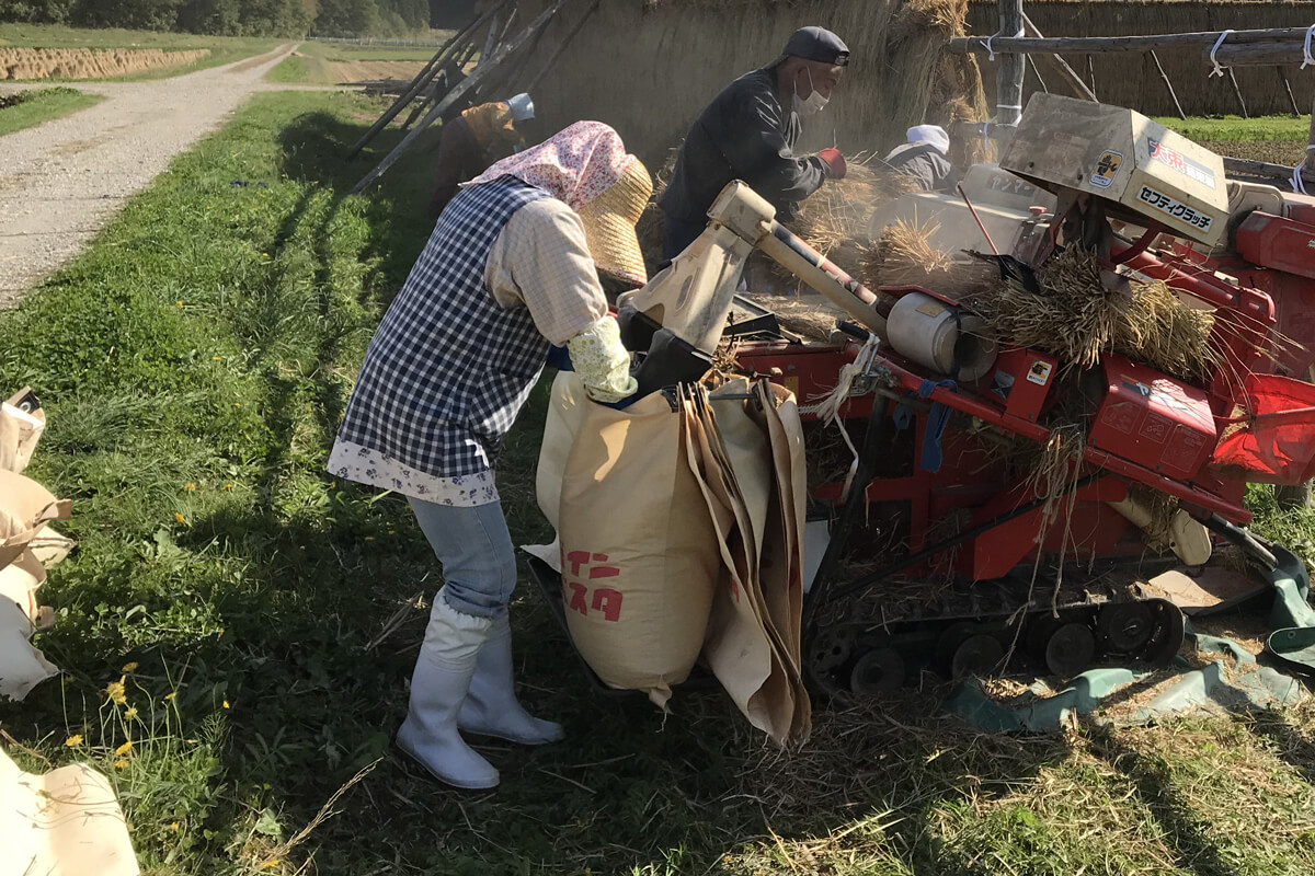 モミ（お米）はここに貯まります。