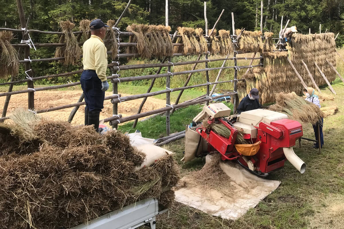 稲ワラを軽トラックに積みます
