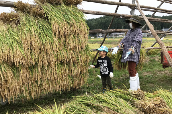はさがけは家族総出で