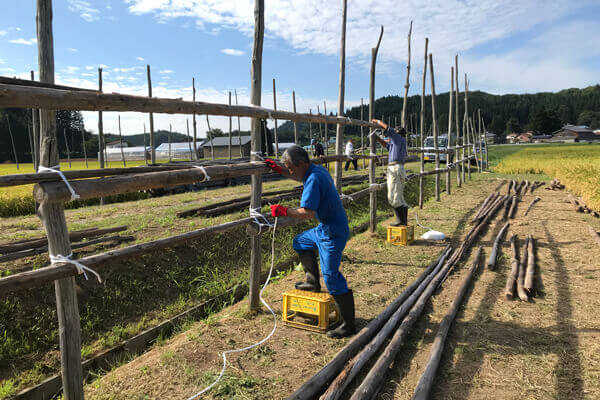 1段目、2段目はまだ楽ですが…高くなるにつれ危険が伴う重労働に