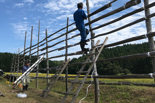 最上段は結構な高さ