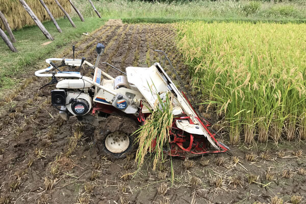 稲刈り用機械、バインダー