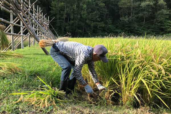次の隅を刈り取ります