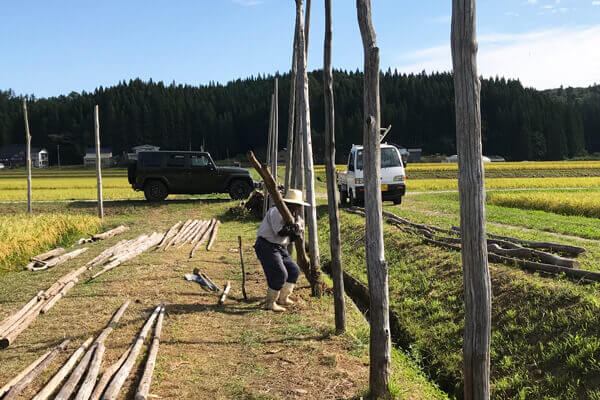 腐った縦木は一度抜き取ります
