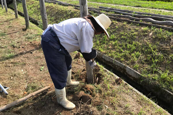 縦木を元の状態に戻します