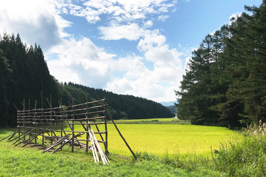 これが稲架（はさ）