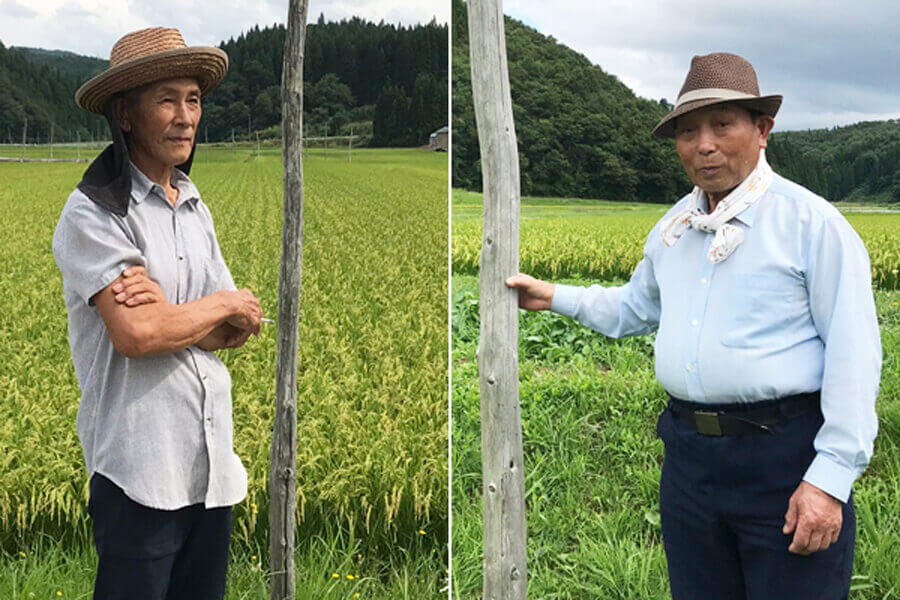羽後町田代のはさがけ米農家、久仁夫さん（右）と源一さん（左）