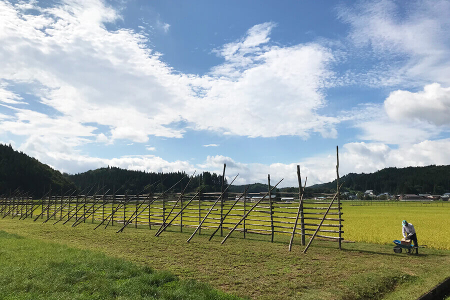 稲架の準備が進む