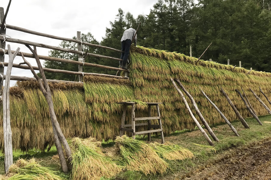 はさがけは危険が隣り合わせ