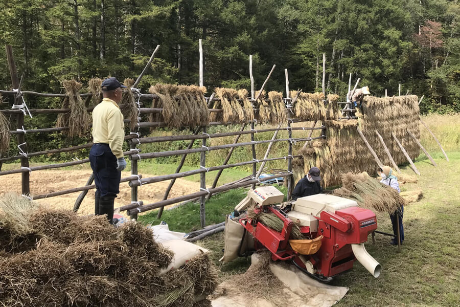 はさがけは皆で協力して進めます