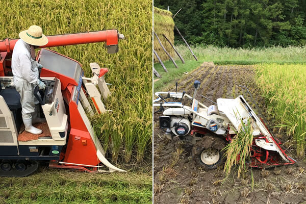 コンバインとバインダー